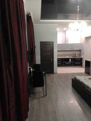 Отель Apartment on Sumskaya 53/1 Харьков Апартаменты с 1 спальней-7